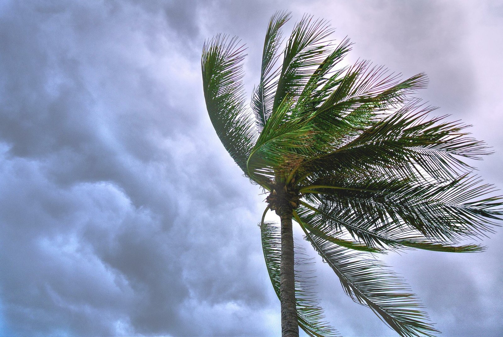 Defesa Civil alerta para chuva e ventos intensos  