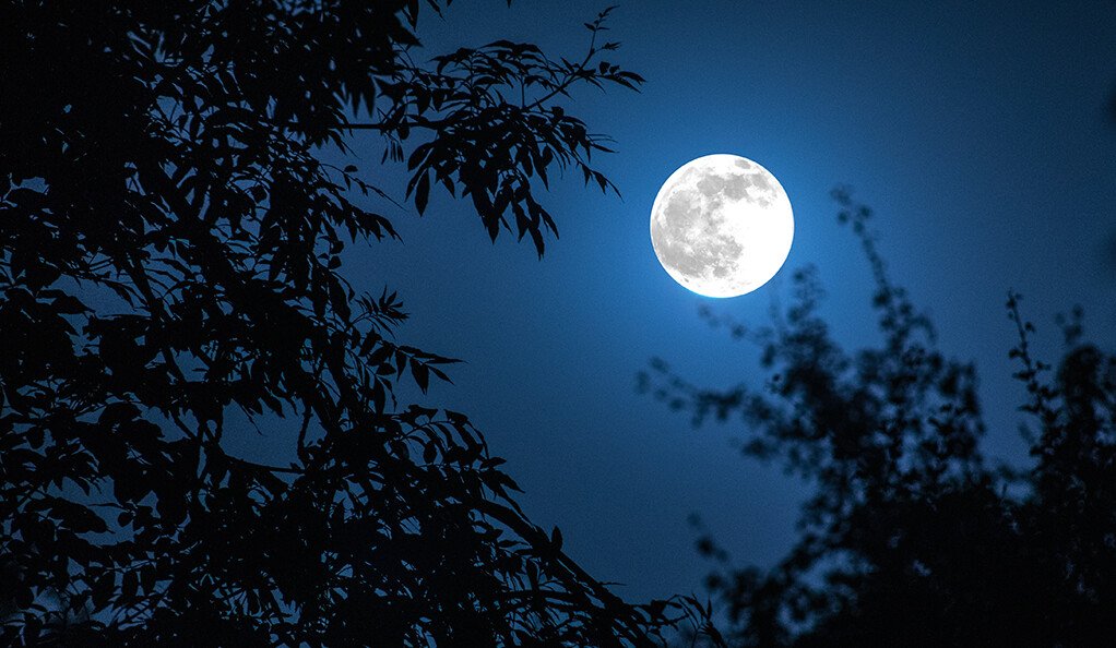 Remada de Lua Cheia acontece na Lagoa em Macaé